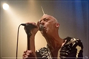 NIK_12624 Les Ramoneurs de Menhirs 04-12-2015 (Zz)  (p)